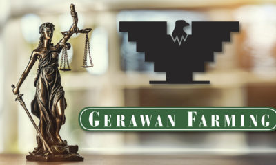 Gerawan UFW Decision