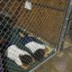 Two female detainees sleep in a holding cell,