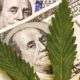 Photo Illustration of Marijuana Leaves and $100 bills