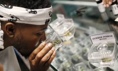Photo of man shopping for marijuana at a legal shop in Las Vegas