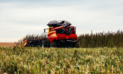 Photo of a combine harvesting hemp in a field