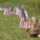 AP photo of a young girl putting American flags into the ground