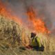 Photo of crews fighting fire in Yolo County.
