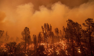 Photo of the Carr Fire