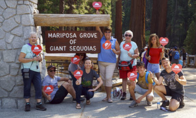 Photo of French tourists in front of the Mariposa Grove at Yosemite National Park