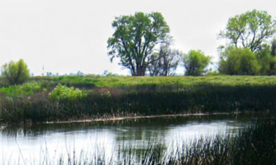 Photo of a Fresno Irrigation District canal
