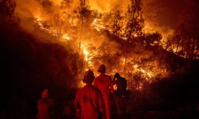 Photo of firefighters monitoring backfire in Ladoga, CA