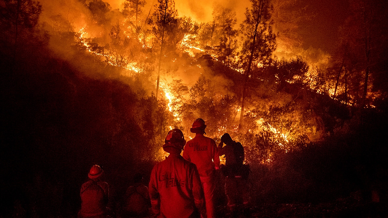 Photo of firefighters monitoring backfire in Ladoga, CA