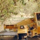 photo of California almond harvest