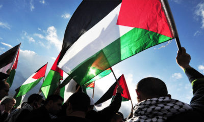 Palestinians march with flags