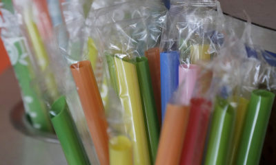 Photo of brightly colored straws