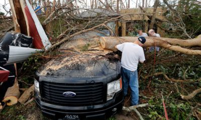 Photo of people cutting away at a tree the fell on a vehicle during Hurricane Michael
