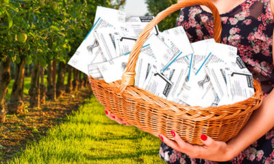 Photo illustration with voting ballots in a basket