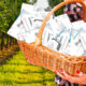 Photo illustration with voting ballots in a basket