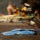 Photo of officials searching for people in Paradise, CA