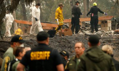 Photo of investigators recovering human remains