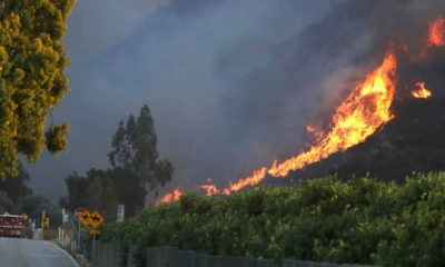 Photo of a wildfire coming down a hilltop in Malibu, CA
