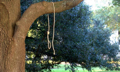 Photo of noose hanging from a tree
