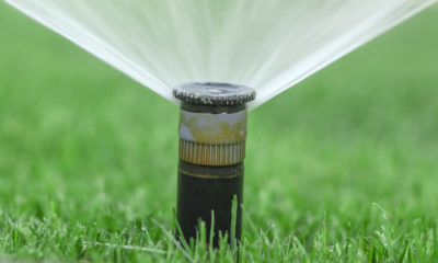 Photo of a lawn sprinkler