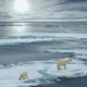 Photo of polar bears on melting ice