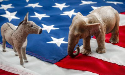 Photo of a donkey and an elephant on an American flag