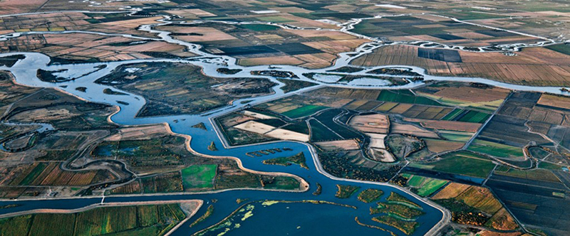 Aerial photo of canals that are part of the Central Valley Project