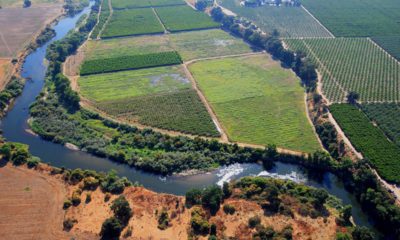 Aerial view of the Tuolumne River in spring 2006