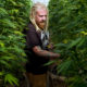 Photo of Steve Fagan, grower and owner of SLOgrown Genetics
