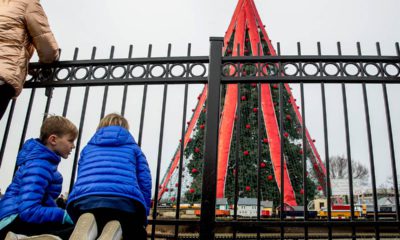Photo of two boys visiting the National Christmas Tree at the White House