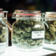 marijuana buds displayed in glass jars