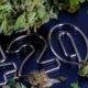 Image of marijuana bud, cannabis oil and the numbers 420