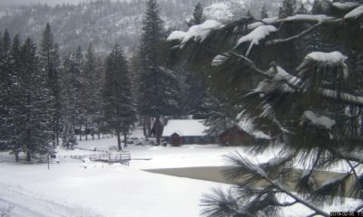 Photo of snow at Hume Lake, California