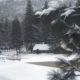 Photo of snow at Hume Lake, California