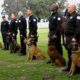 Fresno police department K9 teams at swearing in ceremony.