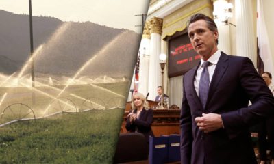 Photo of San Joaquin Valley and Gavin Newsom