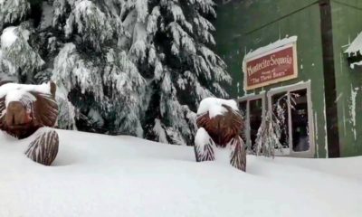 Photo of snow surrounding Montecito Sequoia Lodge in Kings Canyon National Park