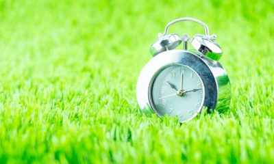Photo of a clock sitting in grass