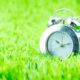 Photo of a clock sitting in grass