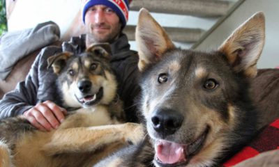 Photo of Iditarod musher Nicolas Petit posing with two of his dogs in Anchorage