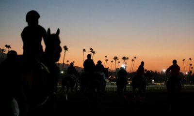 Photo of riders and horses at sunset