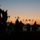 Photo of riders and horses at sunset