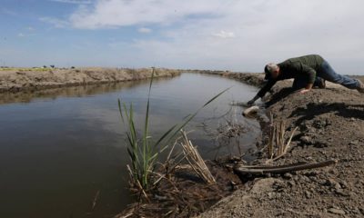 Photo of man drawing a water sample in Stockton, CA