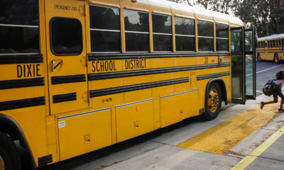 Photo of school buses at Dixie School District