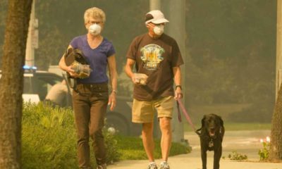Photo of a couple and dog walking in smoke