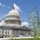 Photo of an art installation on display outside the Capitol