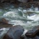 Photo of the Merced River at high water