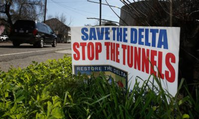 Photo of a sign that says "Save the Delta"
