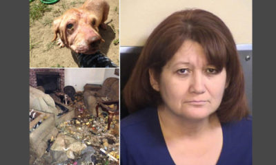 Kingsburg animal cruelty