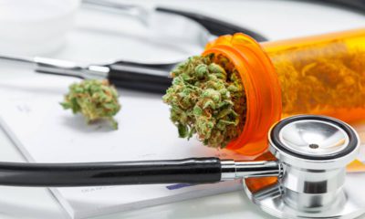 Photo of stethoscope and marijuana