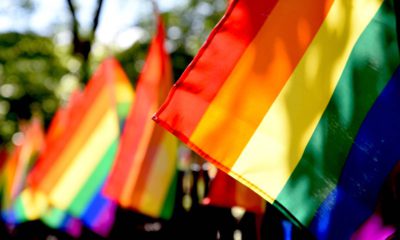 Photo of gay pride flags